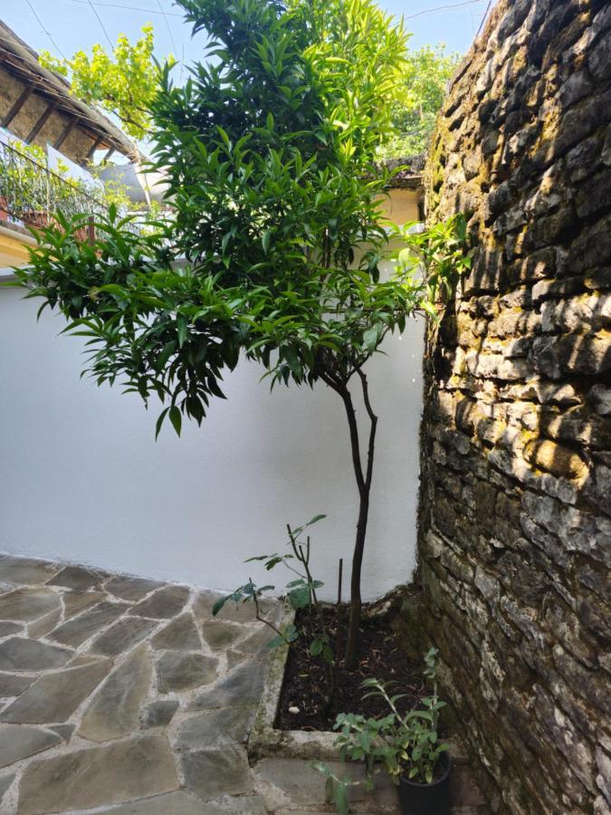 Traditional House Shapllo *